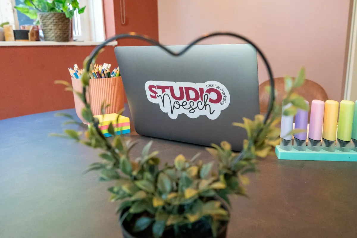 Haar laptop op het bureau, met plant en stiften